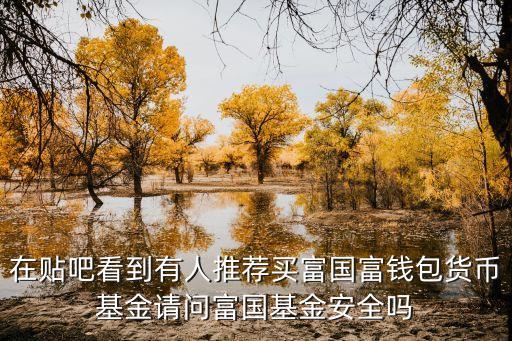 富邦富錢包怎么樣，富國富錢包好不好如果可以請(qǐng)問通過什么渠道可以給富國富錢包充