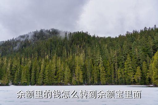 余額里的錢怎么轉(zhuǎn)到余額寶里面