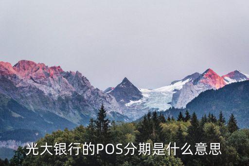 光大銀行的POS分期是什么意思