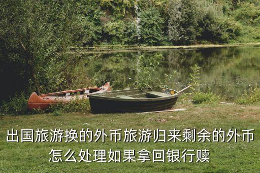 出國回來的硬幣怎么辦，出國旅游換的外幣旅游歸來剩余的外幣怎么處理如果拿回銀行贖