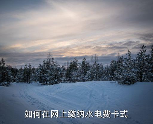水卡交水費(fèi)怎么交，如何在網(wǎng)上繳納水電費(fèi)卡式