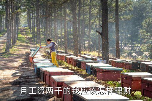 婚后月薪兩千怎么理財，月收入2000該怎樣理財