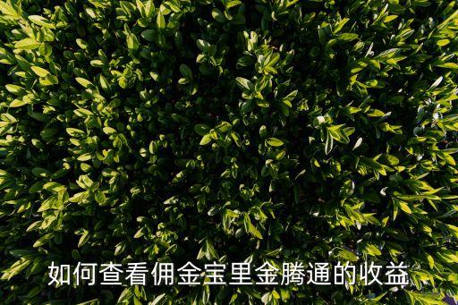 如何查看傭金寶里金騰通的收益
