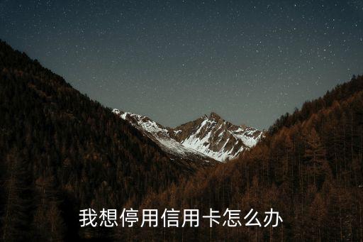 我想停用信用卡怎么辦