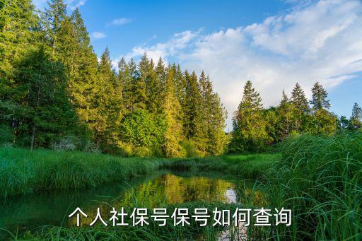 個人社保號保號如何查詢
