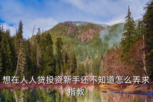 人人貸we理財怎么投資，想在人人貸投資新手還不知道怎么弄求指教