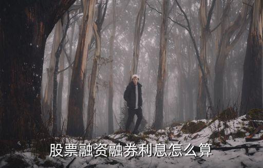 股票融資利率怎么算，融資融券利息是多少