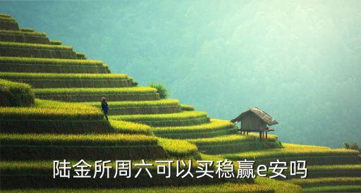 穩(wěn)贏安e 怎么買(mǎi)，陸金所周六可以買(mǎi)穩(wěn)贏e安嗎