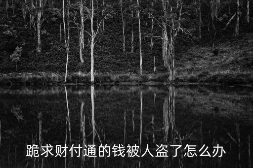 跪求財(cái)付通的錢被人盜了怎么辦