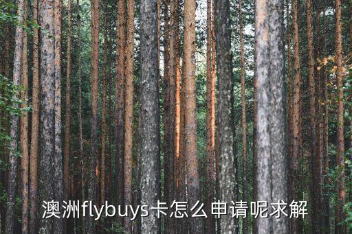 澳洲國際信用卡怎么辦理，在澳洲如何辦張visa或master的credit card