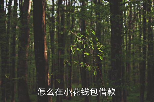 怎么在小花錢包借款