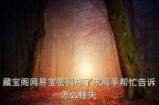 藏寶閣網(wǎng)易寶密碼忘了求高手幫忙告訴怎么掛失