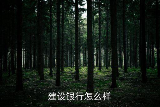 建行南大街支行怎么樣，建設(shè)銀行怎么樣