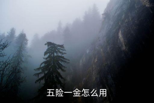 五險(xiǎn)一金怎么用