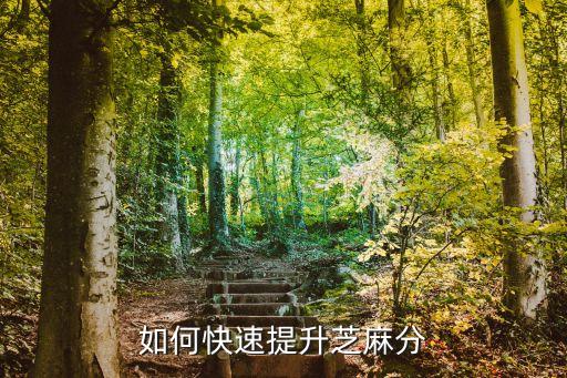 如何快速提升芝麻分