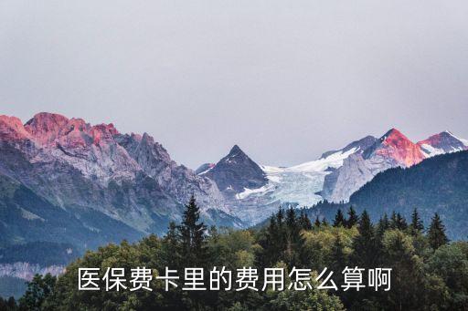 醫(yī)保費(fèi)卡里的費(fèi)用怎么算啊