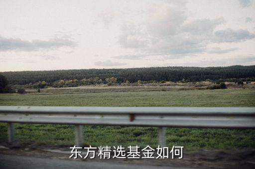 東方精選基金怎么樣，東方精選基金好不好