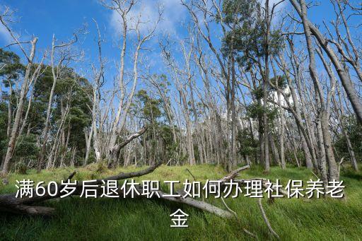 企業(yè)退休養(yǎng)老金怎么辦，企業(yè)退休人員怎么辦理養(yǎng)老金的發(fā)放
