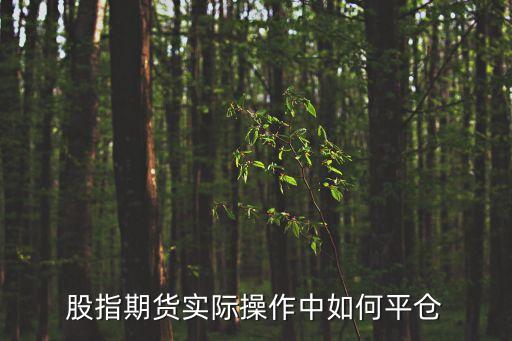 期貨 怎么平倉，期貨怎樣平倉