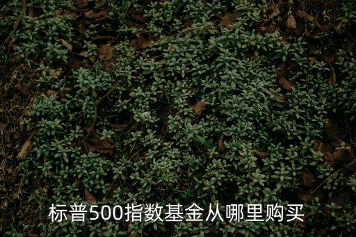 怎么買標(biāo)普指數(shù)基金，在哪里可以買標(biāo)普500指數(shù)基金