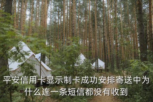 平安信用卡顯示制卡成功安排寄送中為什么連一條短信都沒(méi)有收到