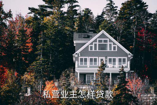 私營業(yè)主怎么貸款，私營業(yè)主如何申請到100萬左右的大額度的貸款