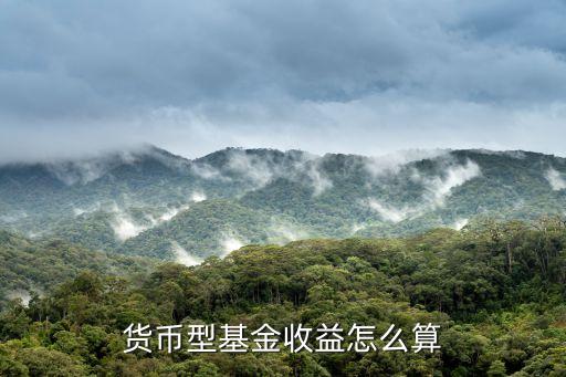 貨幣型基金收益怎么算，貨幣型基金收益怎么算