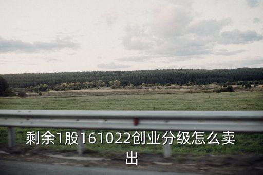 東莞證券創(chuàng)業(yè)分級怎么賣出，剩余1股161022創(chuàng)業(yè)分級怎么賣出