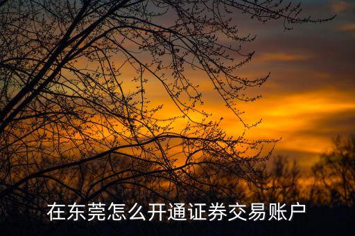 東莞證券怎么開戶啊，東莞證券開戶的步驟復(fù)雜嗎是怎么樣的