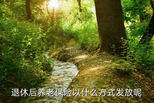 退休后養(yǎng)老保險以什么方式發(fā)放呢