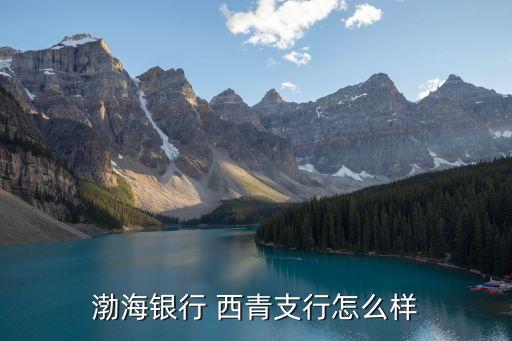 渤海銀行 西青支行怎么樣