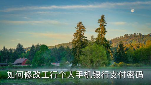 手機登錄工行網(wǎng)銀支付密碼怎么修改密碼，手機工商銀行怎么修改支付密碼