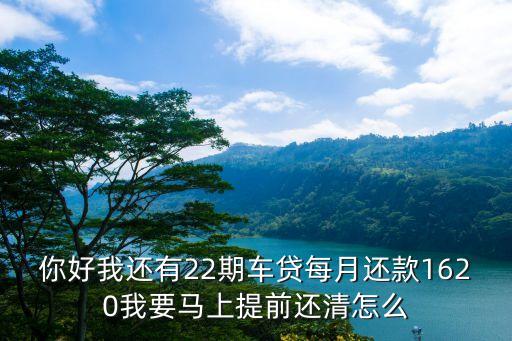你好我還有22期車貸每月還款1620我要馬上提前還清怎么