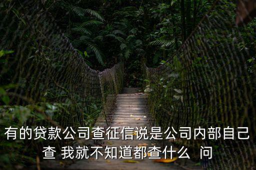 有的貸款公司查征信說是公司內(nèi)部自己查 我就不知道都查什么  問