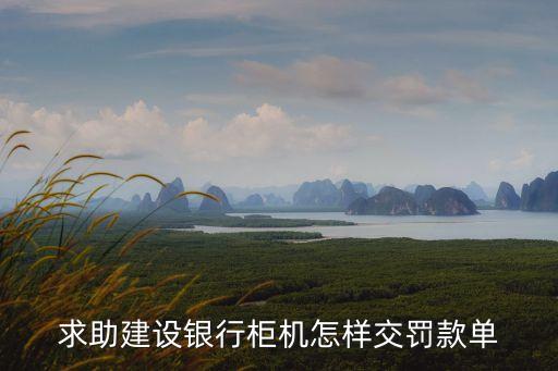 求助建設銀行柜機怎樣交罰款單
