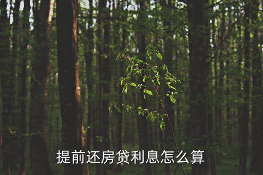 買房提前還貸還有利息怎么算，提前還房貸利息怎么算