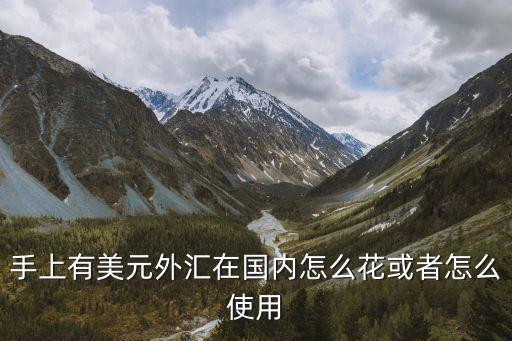 手上有美元外匯在國(guó)內(nèi)怎么花或者怎么使用