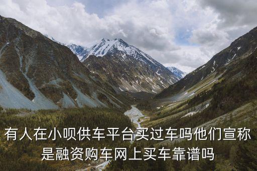 淘寶網(wǎng)貸款買車是怎么回事，淘寶上按揭買車靠譜么