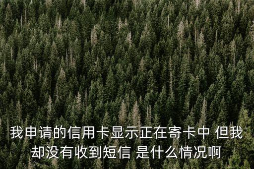 我申請(qǐng)的信用卡顯示正在寄卡中 但我卻沒(méi)有收到短信 是什么情況啊