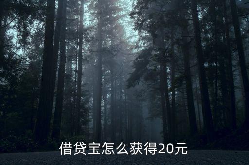 借貸寶怎么獲得20元