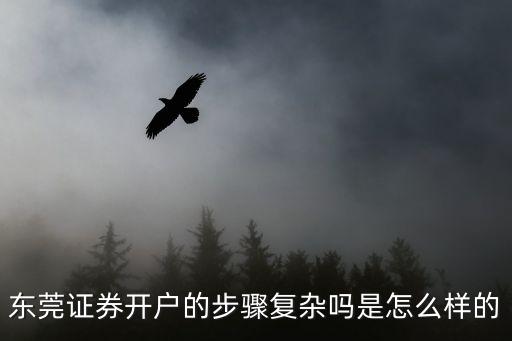 東莞證券開戶的步驟復(fù)雜嗎是怎么樣的