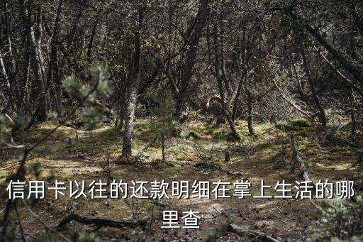 掌上生活怎么查總還款，怎么從招商銀行信用卡掌上生活看出本期還款數(shù)