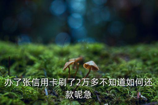 辦了張信用卡刷了2萬多不知道如何還款呢急