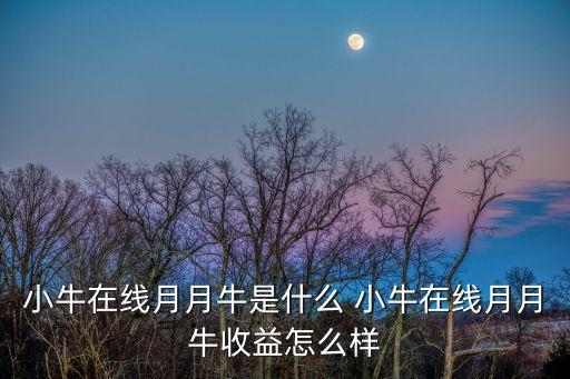 小牛在線月月牛是什么 小牛在線月月牛收益怎么樣