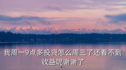 090003怎么不顯示收益，我怎么看不到我的余額存收益啊