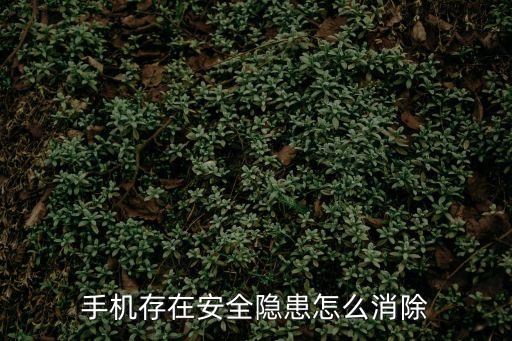 手機(jī)存在安全隱患怎么消除