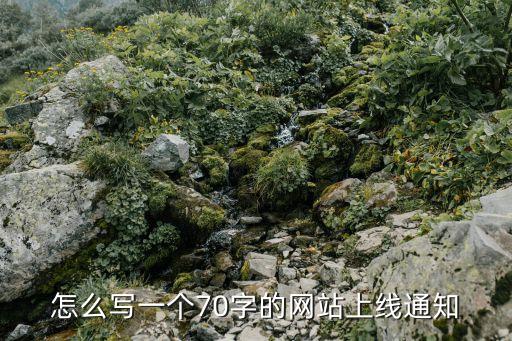 怎么寫一個70字的網(wǎng)站上線通知