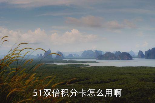 51雙倍積分卡怎么用啊