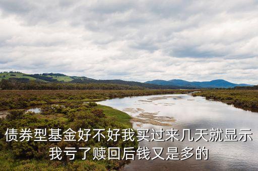 債券型基金好不好我買過來幾天就顯示我虧了贖回后錢又是多的