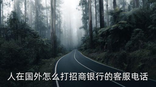 人在國(guó)外怎么打招商銀行的客服電話